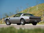 Pontiac Firebird Trans Am 6.6 L80 10th Anniversary Edition 1979 года